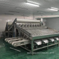 High Efficiency Grader For Fish And Shrimp